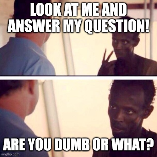 Captain Phillips - I'm The Captain Now | LOOK AT ME AND ANSWER MY QUESTION! ARE YOU DUMB OR WHAT? | image tagged in memes,captain phillips - i'm the captain now | made w/ Imgflip meme maker