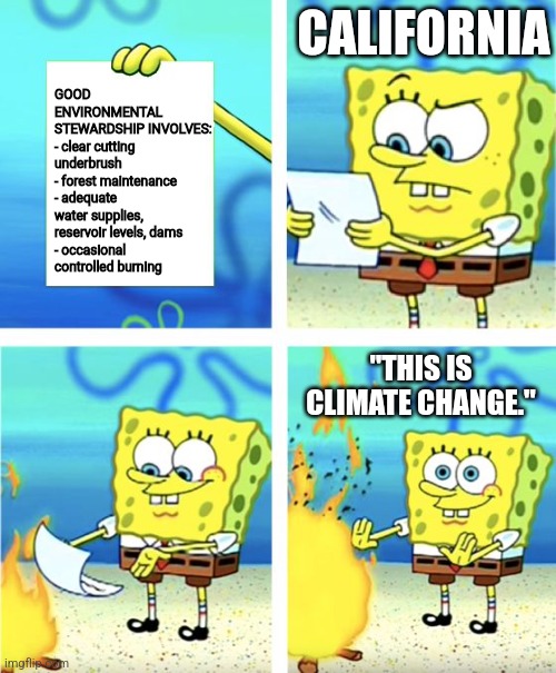 En Fuego | CALIFORNIA; GOOD ENVIRONMENTAL
STEWARDSHIP INVOLVES:
- clear cutting underbrush
- forest maintenance
- adequate water supplies, reservoir levels, dams
- occasional controlled burning; "THIS IS CLIMATE CHANGE." | image tagged in spongebob burning paper | made w/ Imgflip meme maker