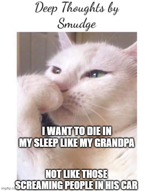 Die in sleep | I WANT TO DIE IN MY SLEEP LIKE MY GRANDPA; NOT LIKE THOSE SCREAMING PEOPLE IN HIS CAR | image tagged in deep-thoughts-by-smudge | made w/ Imgflip meme maker