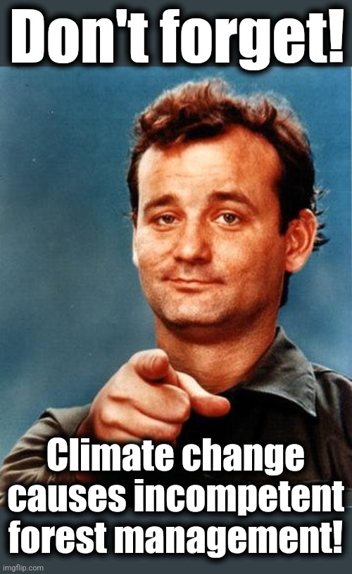 California | Don't forget! Climate change causes incompetent forest management! | image tagged in bill murray,memes,democrats,forest management,incompetence,climate change | made w/ Imgflip meme maker