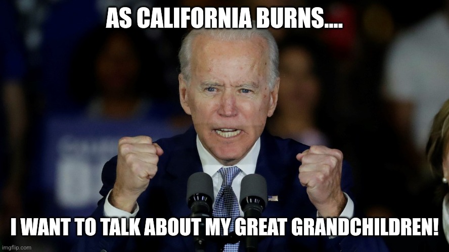 Biden's priorities are pretty clear, what do you think? | AS CALIFORNIA BURNS.... I WANT TO TALK ABOUT MY GREAT GRANDCHILDREN! | image tagged in angry joe biden,california fires,dementia,stupid liberals,liberal hypocrisy,media bias | made w/ Imgflip meme maker