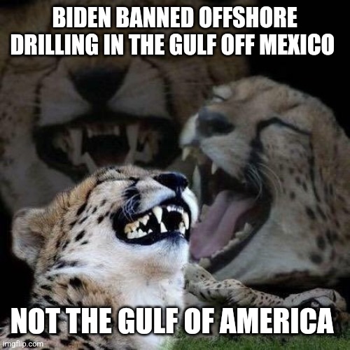 Laughing | BIDEN BANNED OFFSHORE DRILLING IN THE GULF OFF MEXICO; NOT THE GULF OF AMERICA | image tagged in laughing,funny memes | made w/ Imgflip meme maker