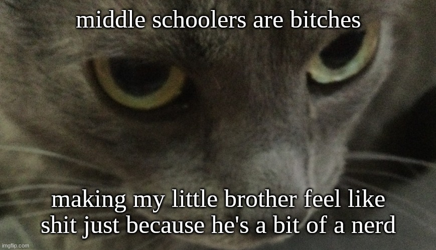 Sweetie | middle schoolers are bitches; making my little brother feel like shit just because he's a bit of a nerd | image tagged in sweetie | made w/ Imgflip meme maker