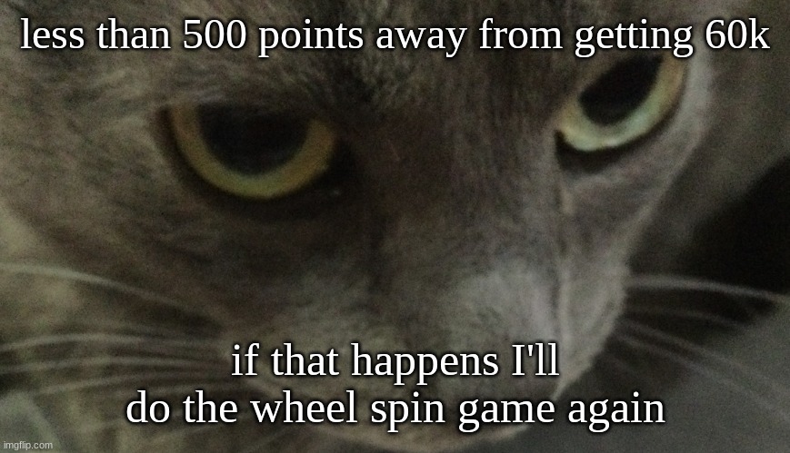 tommorow probably | less than 500 points away from getting 60k; if that happens I'll do the wheel spin game again | image tagged in sweetie | made w/ Imgflip meme maker