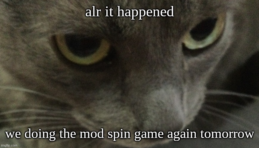 Sweetie | alr it happened; we doing the mod spin game again tomorrow | image tagged in sweetie | made w/ Imgflip meme maker