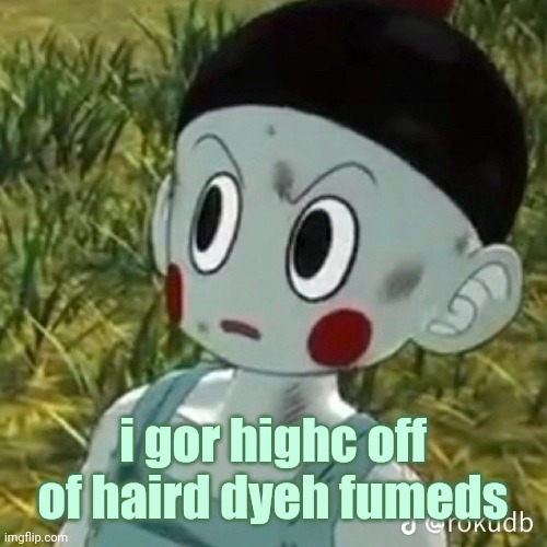 BITCH? | i gor highc off of haird dyeh fumeds | image tagged in bitch | made w/ Imgflip meme maker