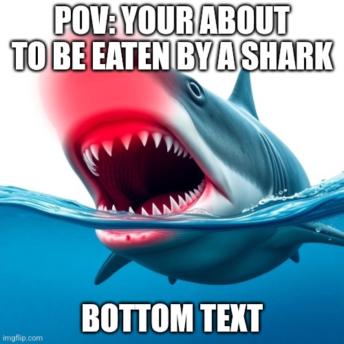 Shark eats you | POV: YOUR ABOUT TO BE EATEN BY A SHARK; BOTTOM TEXT | image tagged in shark,ai,bottom text | made w/ Imgflip meme maker