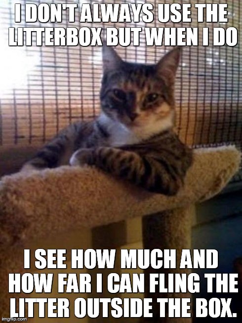 The Most Interesting Cat In The World Meme | I DON'T ALWAYS USE THE LITTERBOX BUT WHEN I DO I SEE HOW MUCH AND HOW FAR I CAN FLING THE LITTER OUTSIDE THE BOX. | image tagged in memes,the most interesting cat in the world | made w/ Imgflip meme maker