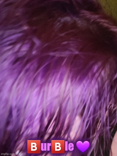 🅱️ur🅱️le 💜 | made w/ Imgflip meme maker