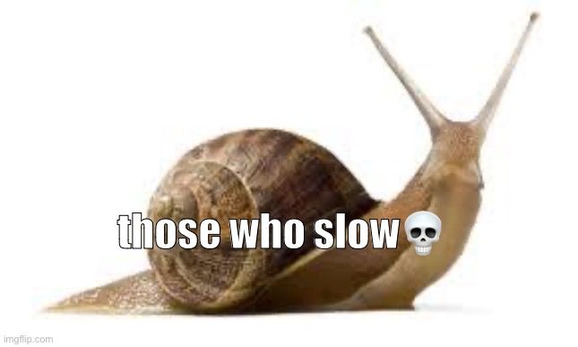 SNAIL | those who slow💀 | image tagged in snail | made w/ Imgflip meme maker