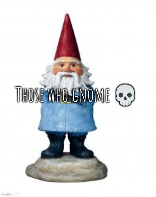 gnome | Those who gnome 💀 | image tagged in gnome | made w/ Imgflip meme maker