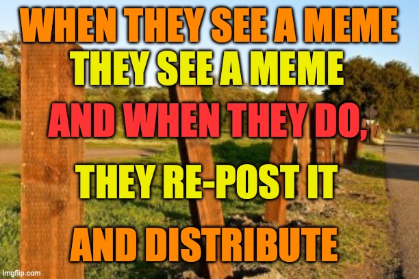 Repost | WHEN THEY SEE A MEME THEY RE-POST IT THEY SEE A MEME AND WHEN THEY DO, AND DISTRIBUTE | image tagged in repost | made w/ Imgflip meme maker