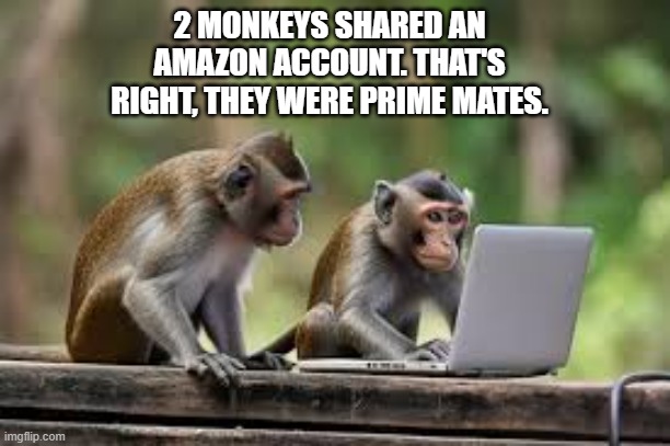 memes by Brad - 2 monkeys shared an Amazon accout since they were prime mates | 2 MONKEYS SHARED AN AMAZON ACCOUNT. THAT'S RIGHT, THEY WERE PRIME MATES. | image tagged in funny,fun,amazon,monkeys,online shopping,humor | made w/ Imgflip meme maker
