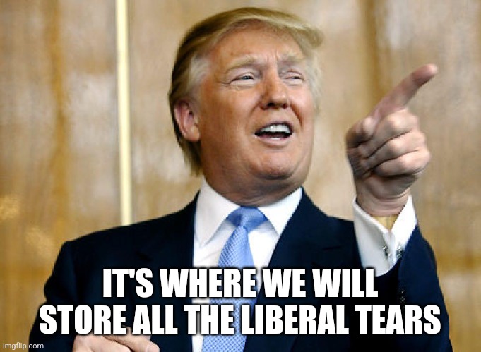 Donald Trump Pointing | IT'S WHERE WE WILL STORE ALL THE LIBERAL TEARS | image tagged in donald trump pointing | made w/ Imgflip meme maker