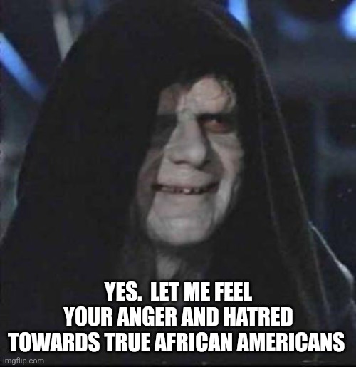 Sidious Error Meme | YES.  LET ME FEEL YOUR ANGER AND HATRED TOWARDS TRUE AFRICAN AMERICANS | image tagged in memes,sidious error | made w/ Imgflip meme maker