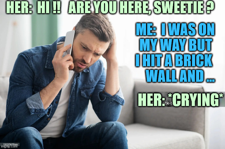 HER:  HI !!   ARE YOU HERE, SWEETIE ? ME:  I WAS ON
MY WAY BUT 
I HIT A BRICK 
WALL AND ... HER: *CRYING* | made w/ Imgflip meme maker