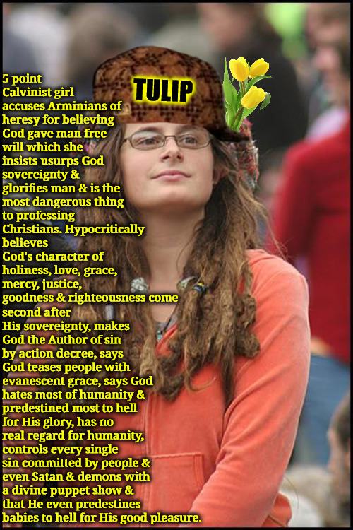 Hypocrisy They Name Is 5 Point Calvinist | 5 point Calvinist girl accuses Arminians of heresy for believing God gave man free will which she insists usurps God sovereignty & glorifies man & is the most dangerous thing to professing Christians. Hypocritically believes God's character of holiness, love, grace, mercy, justice, goodness & righteousness come; TULIP; second after His sovereignty, makes God the Author of sin by action decree, says God teases people with evanescent grace, says God hates most of humanity & predestined most to hell for His glory, has no real regard for humanity, controls every single sin committed by people & even Satan & demons with a divine puppet show & that He even predestines babies to hell for His good pleasure. | image tagged in college liberal,calvinism,arminian,molinism,reformed theology 5 point calvinist preachers,savage hypocrisy | made w/ Imgflip meme maker