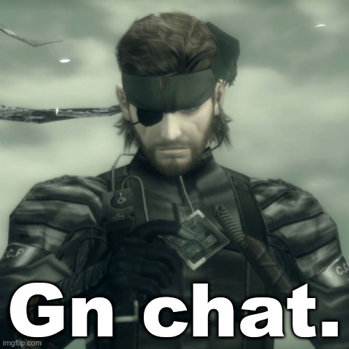 Metal Gear Solid Snake | Gn chat. | image tagged in metal gear solid snake | made w/ Imgflip meme maker