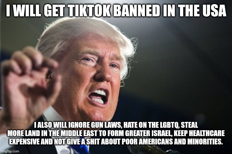 Trump logic | I WILL GET TIKTOK BANNED IN THE USA; I ALSO WILL IGNORE GUN LAWS, HATE ON THE LGBTQ, STEAL MORE LAND IN THE MIDDLE EAST TO FORM GREATER ISRAEL, KEEP HEALTHCARE EXPENSIVE AND NOT GIVE A SHIT ABOUT POOR AMERICANS AND MINORITIES. | image tagged in donald trump,memes | made w/ Imgflip meme maker