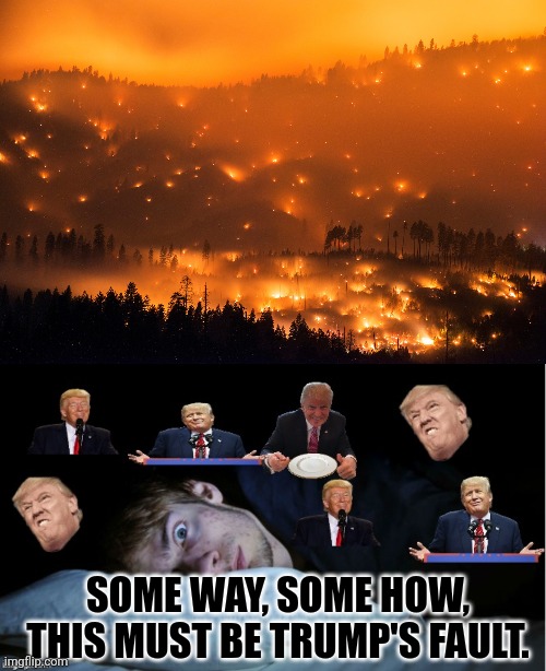 SOME WAY, SOME HOW, THIS MUST BE TRUMP'S FAULT. | image tagged in wild fire,extreme tds | made w/ Imgflip meme maker