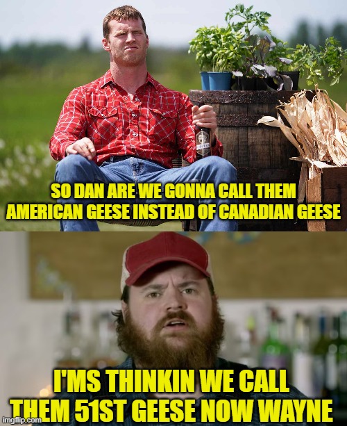 New Letterkenny Problems | SO DAN ARE WE GONNA CALL THEM AMERICAN GEESE INSTEAD OF CANADIAN GEESE; I'MS THINKIN WE CALL THEM 51ST GEESE NOW WAYNE | image tagged in letterkenny,geese,canada,united states,maga,trump | made w/ Imgflip meme maker