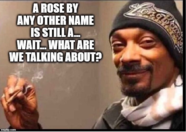 Waxing Philosophically with Snoop Dogg | A ROSE BY ANY OTHER NAME IS STILL A... WAIT... WHAT ARE WE TALKING ABOUT? | image tagged in vince vance,memes,snoop dogg,getting high,smoking weed,a rose | made w/ Imgflip meme maker