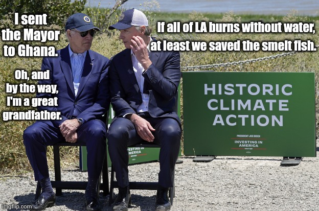 Biden And Newsom Discuss LA Fires | I sent the Mayor to Ghana. If all of LA burns without water, at least we saved the smelt fish. Oh, and by the way, I'm a great grandfather. | image tagged in president_joe_biden,california,governor,los angeles,wildfires,water | made w/ Imgflip meme maker