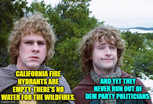 Dem Party voters, does the 'gimmie that' philosophy work when you are on fire? | CALIFORNIA FIRE HYDRANTS ARE EMPTY. THERE'S NO WATER FOR THE WILDFIRES. AND YET THEY NEVER RUN OUT OF DEM PARTY POLITICIANS. | image tagged in second breakfast | made w/ Imgflip meme maker