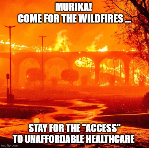 wildfire | MURIKA! 
COME FOR THE WILDFIRES ... STAY FOR THE "ACCESS" TO UNAFFORDABLE HEALTHCARE | image tagged in wildfire | made w/ Imgflip meme maker