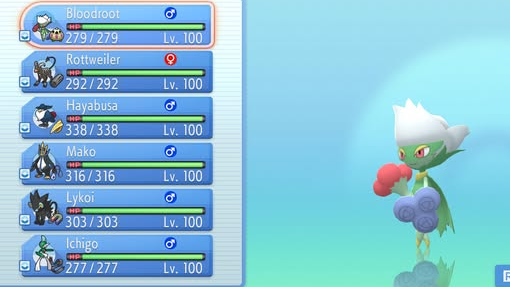 pokemon diamond team Blank Meme Template