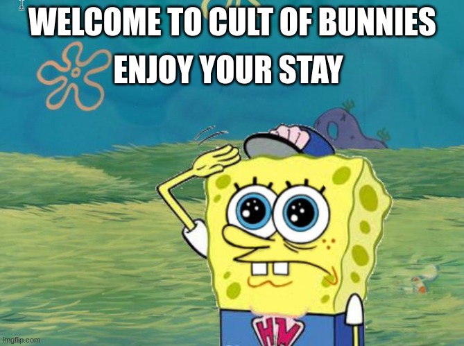 Spongebob salute | ENJOY YOUR STAY; WELCOME TO CULT OF BUNNIES | image tagged in spongebob salute | made w/ Imgflip meme maker