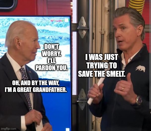 President Biden Issues Governor Newsom Pardon | DON'T WORRY. I'LL PARDON YOU. I WAS JUST TRYING TO SAVE THE SMELT. OH, AND BY THE WAY, I'M A GREAT GRANDFATHER. | image tagged in president_joe_biden,governor,california fires,pardon,stupid liberals,funny memes | made w/ Imgflip meme maker