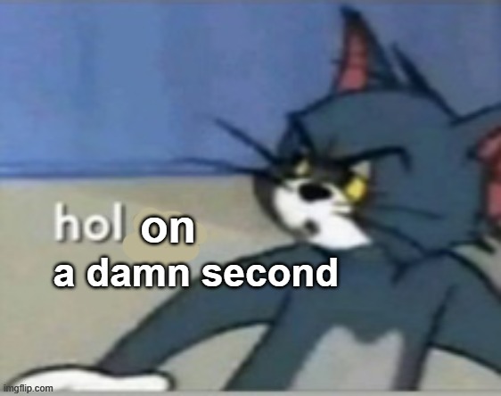 Hol on a damn second Tom | image tagged in hol on a damn second tom | made w/ Imgflip meme maker