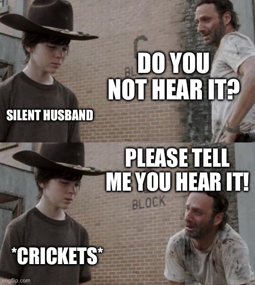 Husbands | DO YOU NOT HEAR IT? SILENT HUSBAND; PLEASE TELL ME YOU HEAR IT! *CRICKETS* | image tagged in memes,rick and carl | made w/ Imgflip meme maker