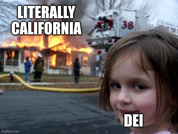 DEIsaster girl | LITERALLY CALIFORNIA DEI | image tagged in memes,disaster girl,diversity | made w/ Imgflip meme maker