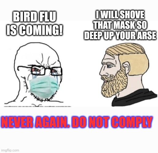 NEVER AGAIN! | I WILL SHOVE THAT MASK SO DEEP UP YOUR ARSE; BIRD FLU IS COMING! NEVER AGAIN. DO NOT COMPLY | image tagged in libtards,morons,democrat,hoax,idiots,butthurt liberals | made w/ Imgflip meme maker