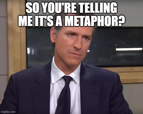 Governor California | SO YOU'RE TELLING ME IT'S A METAPHOR? | image tagged in governor california | made w/ Imgflip meme maker