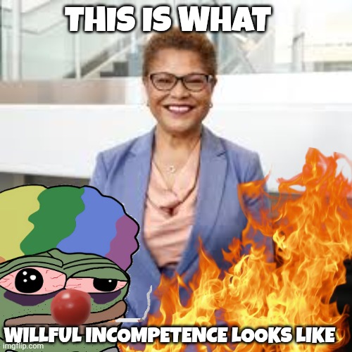 California fires | THIS IS WHAT; WILLFUL INCOMPETENCE LOOKS LIKE | image tagged in mayor | made w/ Imgflip meme maker