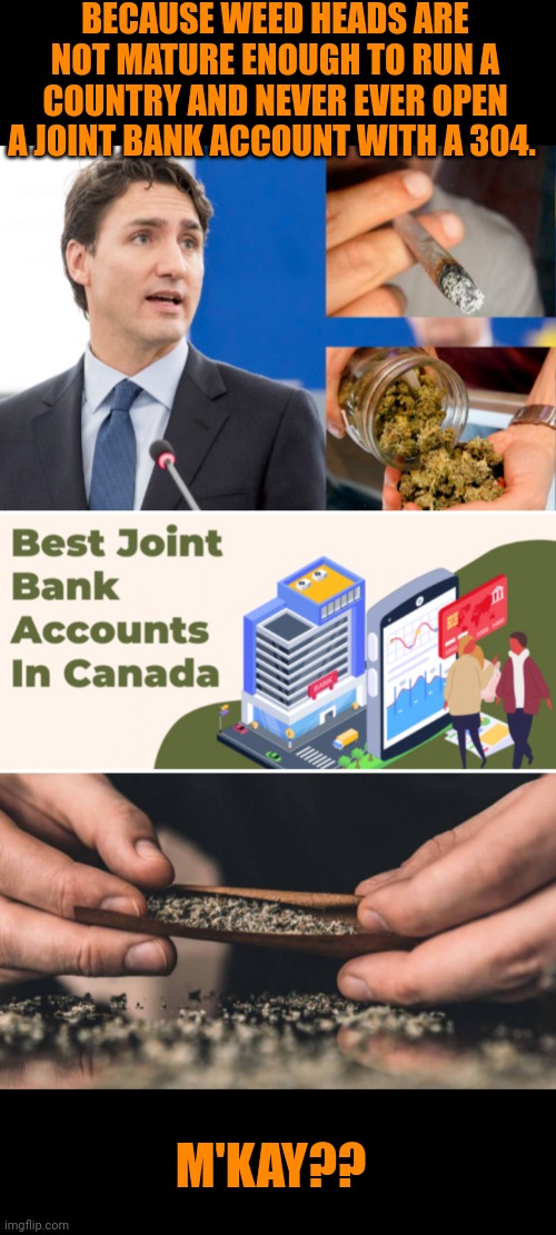 Funny | BECAUSE WEED HEADS ARE NOT MATURE ENOUGH TO RUN A COUNTRY AND NEVER EVER OPEN A JOINT BANK ACCOUNT WITH A 304. M'KAY?? | image tagged in funny,national security,national debt,trudeau,weed,maturity | made w/ Imgflip meme maker