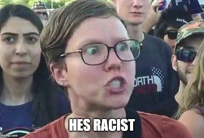 Triggered Liberal | HES RACIST | image tagged in triggered liberal | made w/ Imgflip meme maker