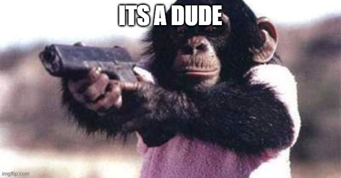 monkey crashout | ITS A DUDE | image tagged in monkey crashout | made w/ Imgflip meme maker