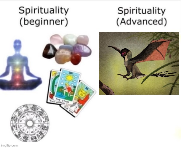 Shout out to Yi Qi. Truly a irl Dragon. | image tagged in spirituality beginner vs spirituality advanced,memes,dinosaur,shitpost,lol,funny | made w/ Imgflip meme maker