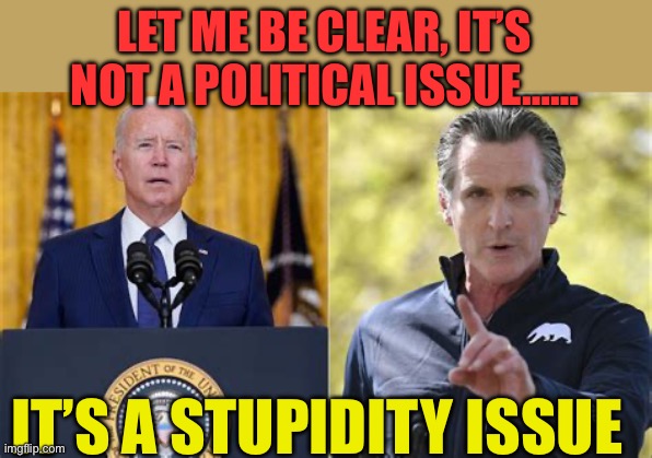 Stupid is as stupid does. | LET ME BE CLEAR, IT’S NOT A POLITICAL ISSUE……; IT’S A STUPIDITY ISSUE | image tagged in gifs,incompetence,democrats,biden,california,governor | made w/ Imgflip meme maker