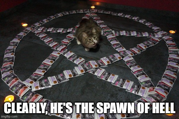 Hell Cat | CLEARLY, HE'S THE SPAWN OF HELL | image tagged in cats | made w/ Imgflip meme maker