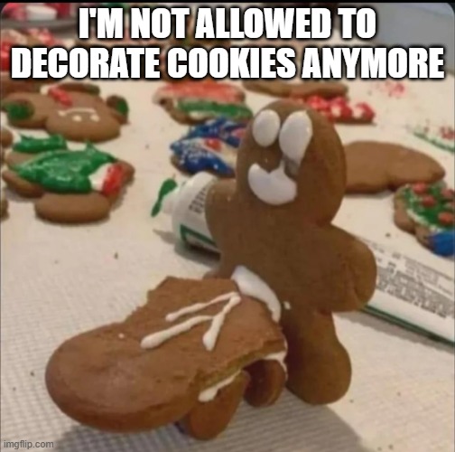 Cookie Time | I'M NOT ALLOWED TO DECORATE COOKIES ANYMORE | image tagged in sex jokes | made w/ Imgflip meme maker