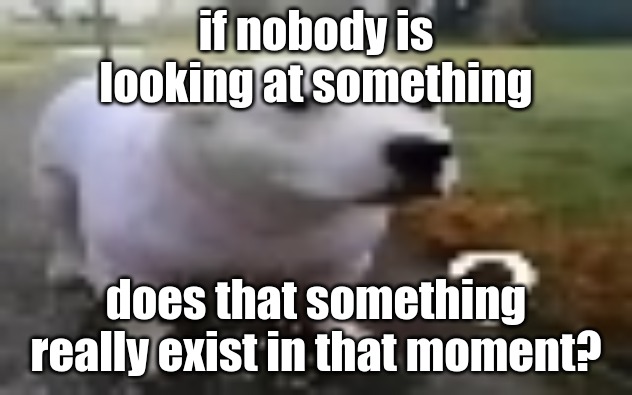 huh | if nobody is looking at something; does that something really exist in that moment? | image tagged in huh | made w/ Imgflip meme maker