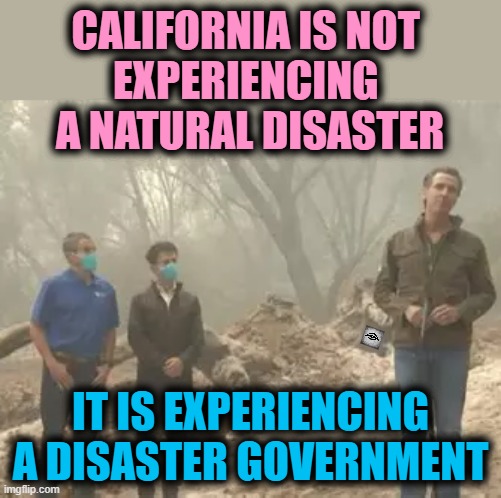 CALIFORNIA IS NOT 
EXPERIENCING 
A NATURAL DISASTER; IT IS EXPERIENCING A DISASTER GOVERNMENT | image tagged in la,wildfire,gavin newsom,california,incompetence | made w/ Imgflip meme maker