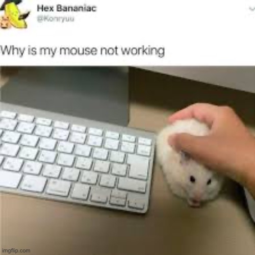hamster control | made w/ Imgflip meme maker