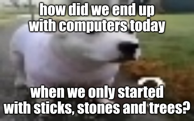 huh | how did we end up with computers today; when we only started with sticks, stones and trees? | image tagged in huh | made w/ Imgflip meme maker