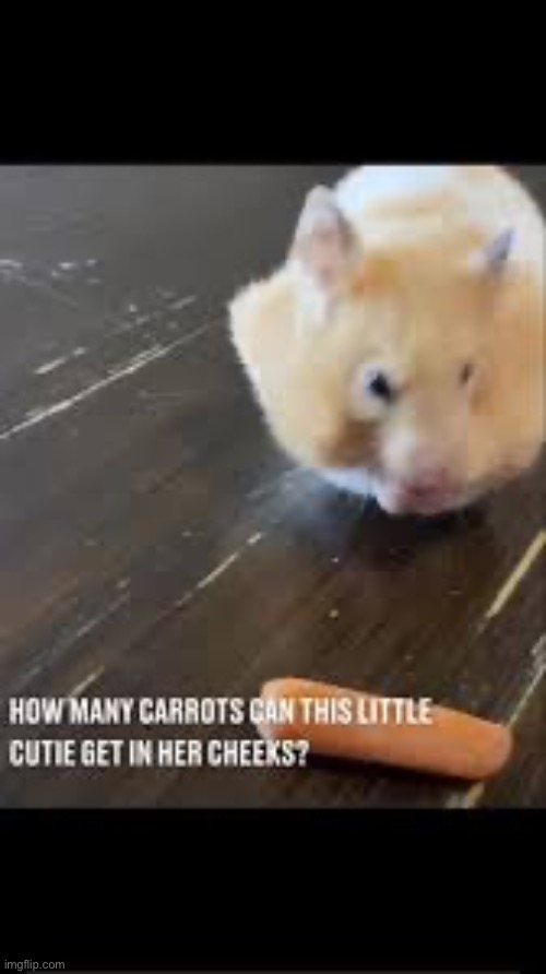 I have an ideaaaaa | made w/ Imgflip meme maker